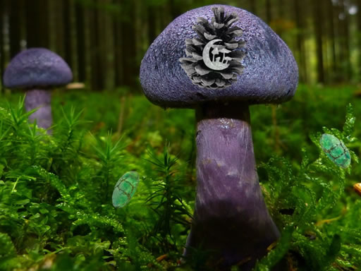 Mushroom Forest Adventure img